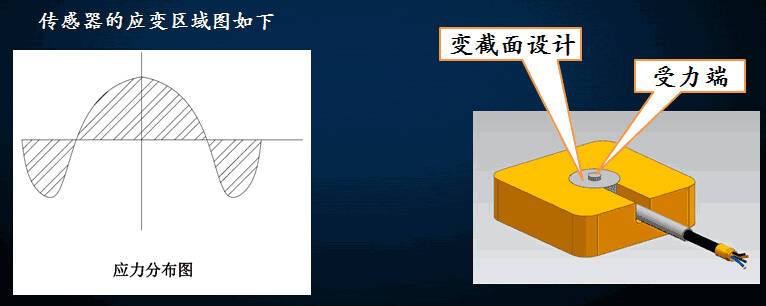 传感器应变区域图